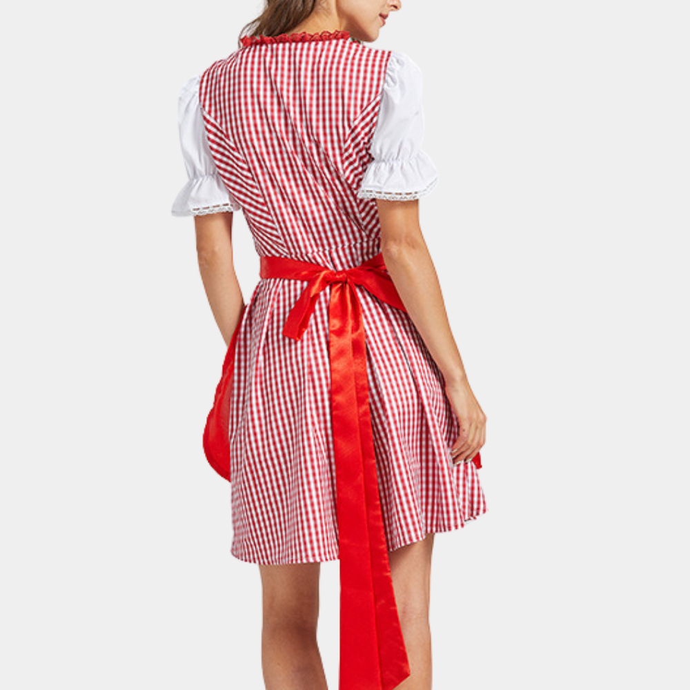 Oktoberfest Dirndl-Jurk Met Geruit Patroon | Rood