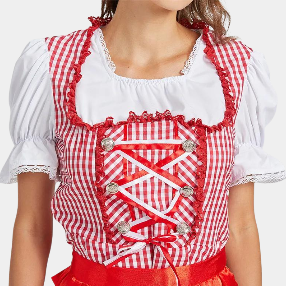 Oktoberfest Dirndl-Jurk Met Geruit Patroon | Rood